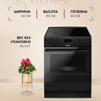Кухонная плита Hansa FCCM69225H - Превью изображения №12 — Интернет-магазин Time-Shop