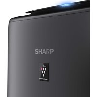 Климатический комплекс Sharp UA-KIN52E-H - Превью изображения №7 — Интернет-магазин Time-Shop