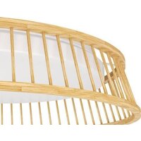 Припотолочная люстра Eglo Luppineria 900797 - Превью изображения №3 — Интернет-магазин Time-Shop