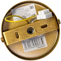 Подвесная люстра Элетех Фламенко 151 НПБ 01-5x40-101 1005405319 (золото) - Превью изображения №3 — Интернет-магазин Time-Shop