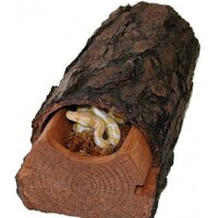 Lucky Reptile MultiBox MB-93