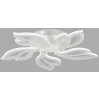 Vitaluce V3893-0/5PL