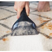 Пылесос Bissell SpotClean Pro 1558N - Превью изображения №3 — Интернет-магазин Time-Shop