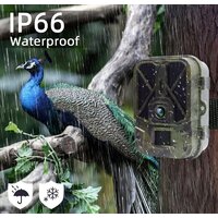 Фотоловушка Suntek HC-940A - Превью изображения №4 — Интернет-магазин Time-Shop