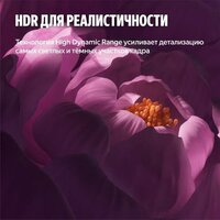 Телевизор Яндекс ТВ Станция Бейсик QLED с Алисой 55 - Превью изображения №12 — Интернет-магазин Time-Shop