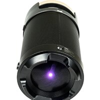 Патибокс Dialog AP-1030 - Превью изображения №4 — Интернет-магазин Time-Shop