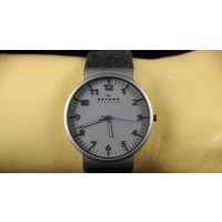 Наручные часы Skagen SKW6097 - Превью изображения №14 — Интернет-магазин Time-Shop