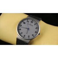 Наручные часы Skagen SKW6097 - Превью изображения №20 — Интернет-магазин Time-Shop