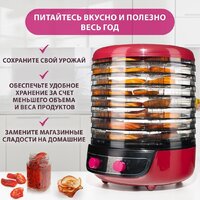 Сушилка для овощей и фруктов Мастерица EFD-2000 - Превью изображения №6 — Интернет-магазин Time-Shop
