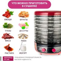 Сушилка для овощей и фруктов Мастерица EFD-2000 - Превью изображения №2 — Интернет-магазин Time-Shop