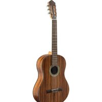 Акустическая гитара Flight C-110 Teak 4/4 - Превью изображения №2 — Интернет-магазин Time-Shop