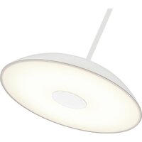 Припотолочная люстра ST Luce SL6128.503.01 - Превью изображения №3 — Интернет-магазин Time-Shop