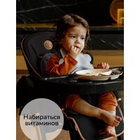 Высокий стульчик Amarobaby Elegant AB23-23EL/09 (черный) - Превью изображения №12 — Интернет-магазин Time-Shop