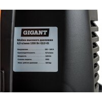 Мойка высокого давления Gigant GLU-01 - Превью изображения №8 — Интернет-магазин Time-Shop