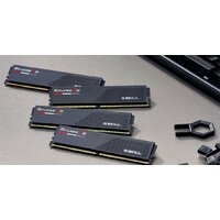 Оперативная память G.Skill Ripjaws S5 2x32ГБ DDR5 6000 МГц F5-6000J2836G32GX2-RS5K - Превью изображения №5 — Интернет-магазин Time-Shop