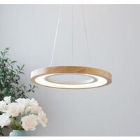 Home Light D259-4