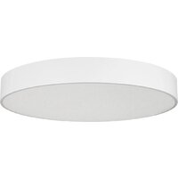 Arlight SP-Tor-Pill-Prism-R800-94W Day4000 022133(4)