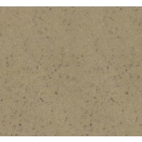 Кухонная мойка Zigmund & Shtain Kreis 480 (молодое шампанское) - Превью изображения №2 — Интернет-магазин Time-Shop