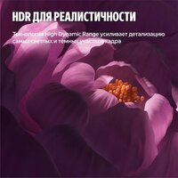 Телевизор Яндекс ТВ Станция Бейсик QLED с Алисой 50 - Превью изображения №12 — Интернет-магазин Time-Shop