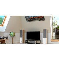 Напольная акустика DALI Oberon 7 Light Oak - Превью изображения №5 — Интернет-магазин Time-Shop