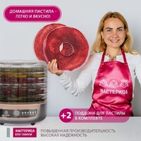 Сушилка для овощей и фруктов Мастерица EFD-1004VM - Превью изображения №8 — Интернет-магазин Time-Shop