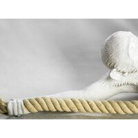 Подвесная люстра Lussole Loft Hicksville GRLSP-9993 - Превью изображения №3 — Интернет-магазин Time-Shop