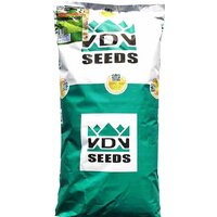 VDV Seeds Sport-кортт 15 кг