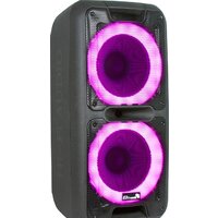 Eltronic 20-14 Dance Box 300