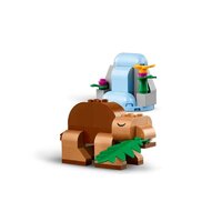 Конструктор LEGO Classic Креативные динозавры 11041 - Превью изображения №8 — Интернет-магазин Time-Shop
