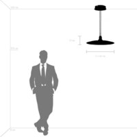 Подвесная люстра Lightstar Emisfero 737427 - Превью изображения №6 — Интернет-магазин Time-Shop