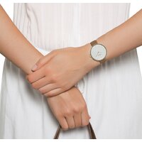 Наручные часы Skagen SKW2137 - Превью изображения №11 — Интернет-магазин Time-Shop