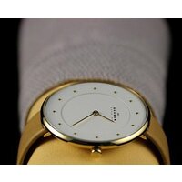 Наручные часы Skagen SKW2137 - Превью изображения №18 — Интернет-магазин Time-Shop