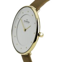 Наручные часы Skagen SKW2137 - Превью изображения №3 — Интернет-магазин Time-Shop