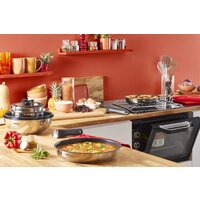 Набор сковород Tefal Ingenio Emotion L897SD74 - Превью изображения №9 — Интернет-магазин Time-Shop