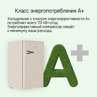 Однокамерный холодильник MAUNFELD MFF83RBG - Превью изображения №15 — Интернет-магазин Time-Shop