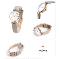 Наручные часы Skagen SKW2643 - Превью изображения №2 — Интернет-магазин Time-Shop
