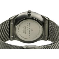 Наручные часы Skagen SKW6007 - Превью изображения №4 — Интернет-магазин Time-Shop
