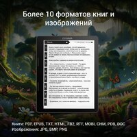 Электронная книга Digma F4 - Превью изображения №7 — Интернет-магазин Time-Shop