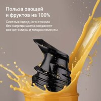 Соковыжималка Redmond (Редмонд) J1409 - Превью изображения №3 — Интернет-магазин Time-Shop
