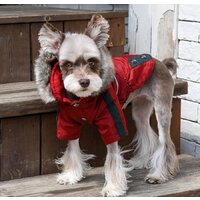 Куртка для животных Puppia Brock с капюшоном PAUD-JM1851-RD-L (красный) - Превью изображения №4 — Интернет-магазин Time-Shop