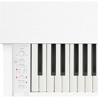 Цифровое пианино Casio Celviano AP-270 (белый) - Превью изображения №4 — Интернет-магазин Time-Shop