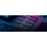 Оперативная память Kingston FURY Renegade Pro 32ГБ DDR5 5600МГц KF556R36RB-32 - Превью изображения №4 — Интернет-магазин Time-Shop