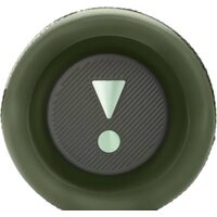 Беспроводная колонка JBL Flip 6 (камуфляж) - Превью изображения №5 — Интернет-магазин Time-Shop