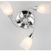 Припотолочная люстра Евросвет Virginia 30100/3 (хром) - Превью изображения №3 — Интернет-магазин Time-Shop