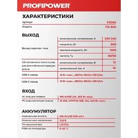 Портативная зарядная станция Profipower ПЭ-600 - Превью изображения №21 — Интернет-магазин Time-Shop