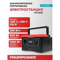 Портативная зарядная станция Profipower ПЭ-600 - Превью изображения №13 — Интернет-магазин Time-Shop