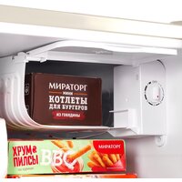 Однокамерный холодильник MAUNFELD MFF50RBG - Превью изображения №10 — Интернет-магазин Time-Shop