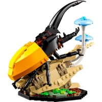 Конструктор LEGO Ideas 21342 Коллекция насекомых - Превью изображения №4 — Интернет-магазин Time-Shop