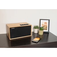 Беспроводная колонка Thomson WS502 - Превью изображения №5 — Интернет-магазин Time-Shop