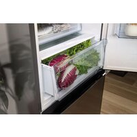 Холодильник Hisense RB390N4GBE - Превью изображения №6 — Интернет-магазин Time-Shop